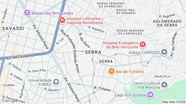 Mapa do bairro São Lucas, Belo Horizonte - MG